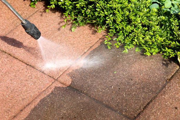 Best Deck Cleaning Services  in Elko New Market, MN